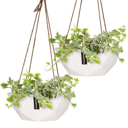 Blumfeldt Laren, osłonka na doniczkę wisząca, Ø 28 cm, Polystone, naturalne linki, zestaw 2 sztuk