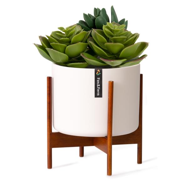 Fox & Fern Thorn, doniczka na stojaku, styl lat 50, 2 rozmiary