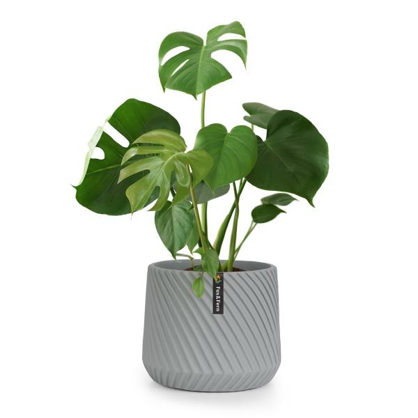 Fox & Fern Heusden, doniczka, Polystone, przyjazna dla roślin, ręcznie wykonana