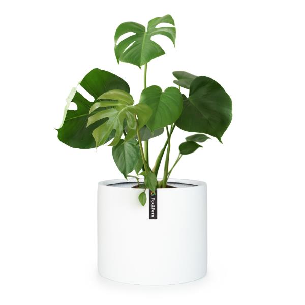 Fox & Fern Gendt, doniczka, osłonka na doniczkę, kamień włóknisty, in/outdoor